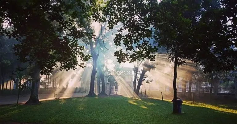 প্রতীকী ছবি